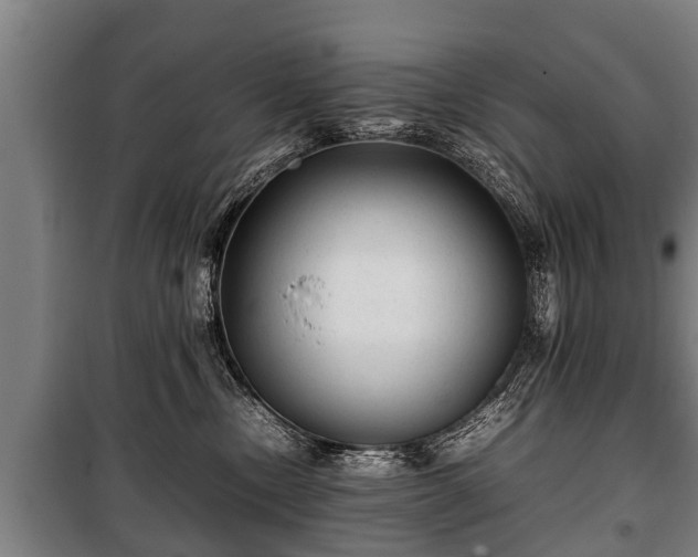 X0000100190378200806061304