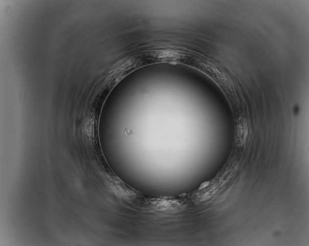 X0000100190379200806061304