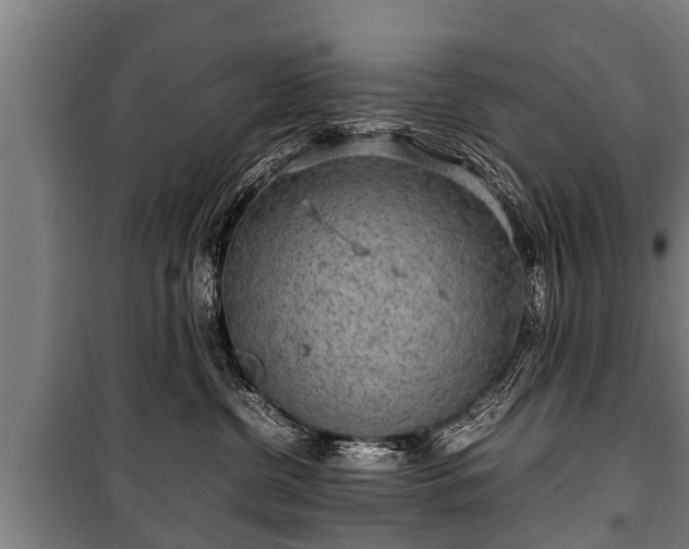 X0000100190380200806061304