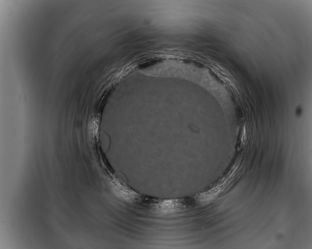 X0000100190382200806061304