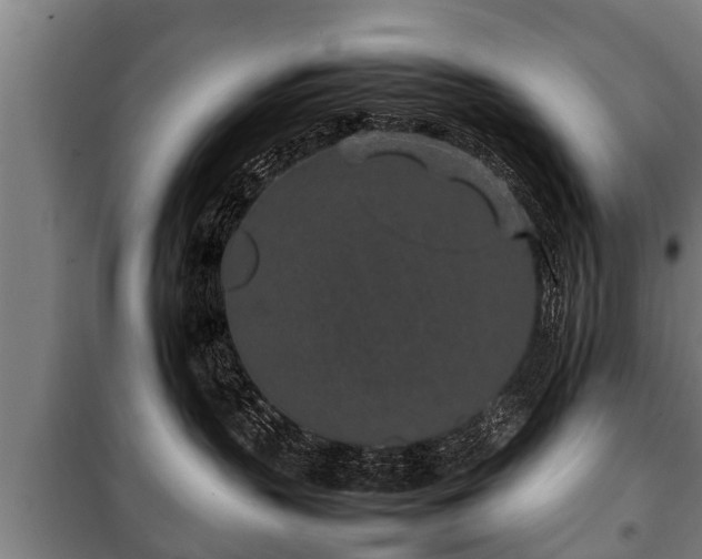 X0000100190383200806061304