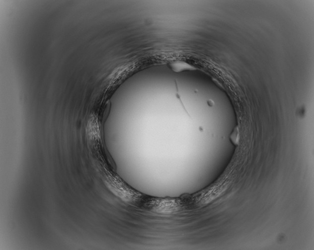 X0000100190384200806061304