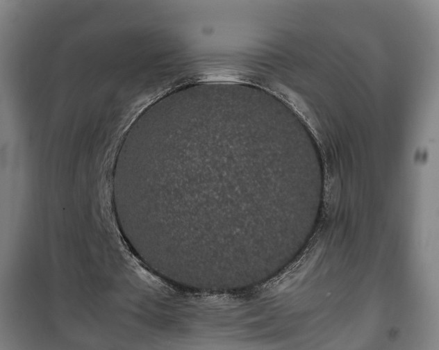 X0000100190385200806061304