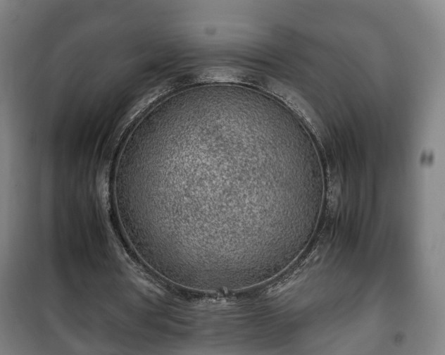 X0000100190386200806061304