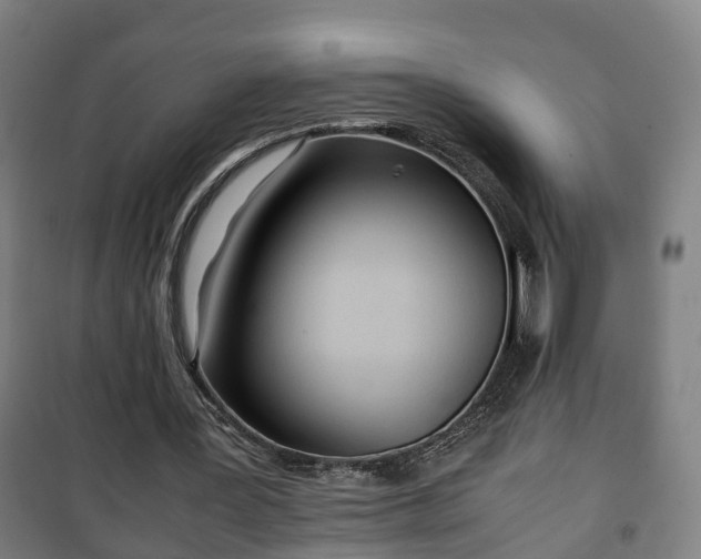 X0000100190387200806061304