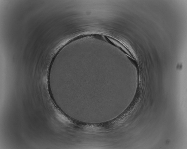 X0000100190389200806061303