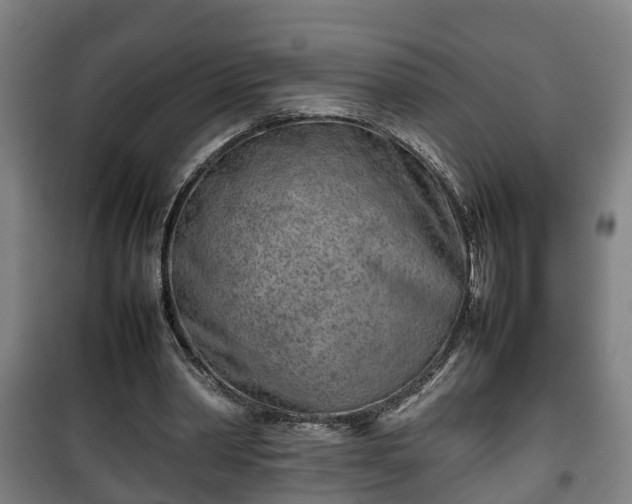 X0000100190390200806061303