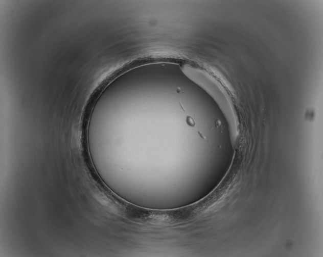 X0000100190391200806061303