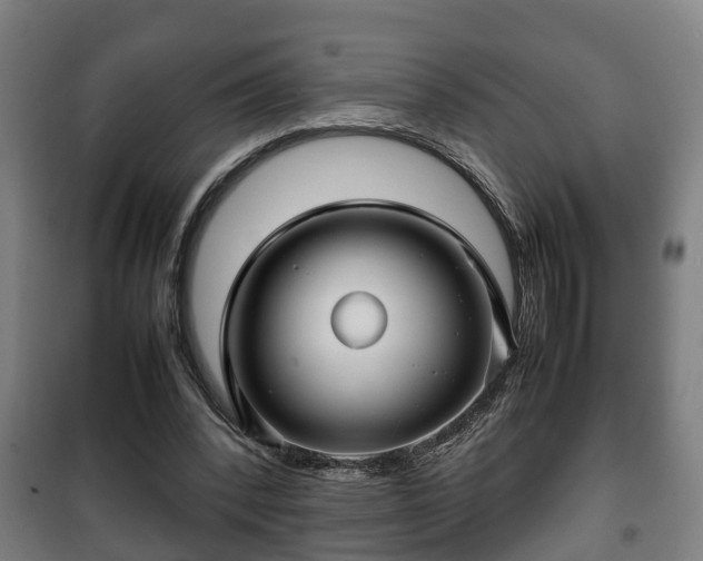 X0000100190392200806061303