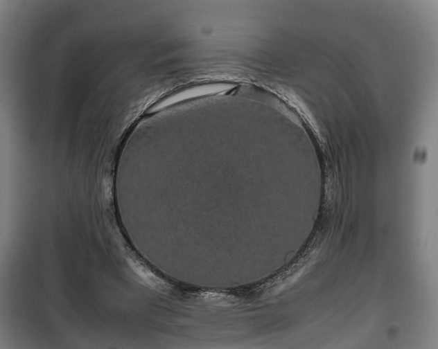 X0000100190393200806061303