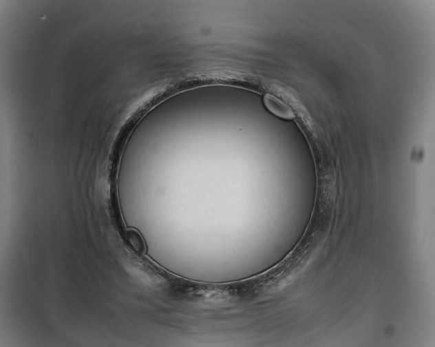 X0000100190395200806061303