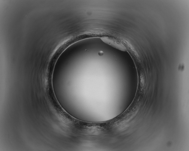 X0000100190396200806061303