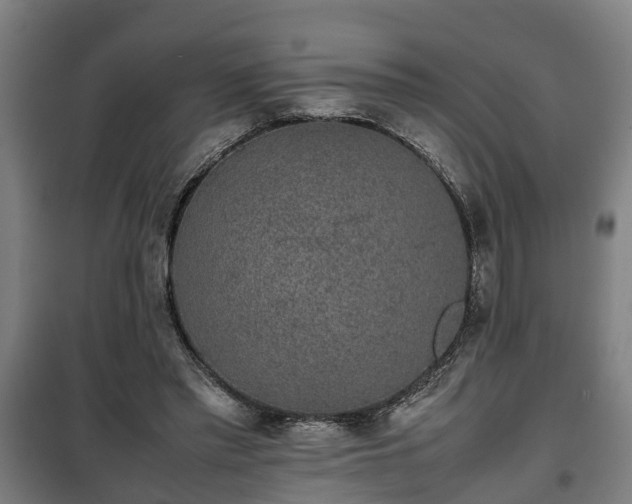 X0000100190397200806061303