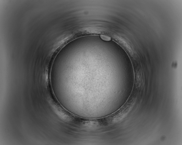 X0000100190398200806061303