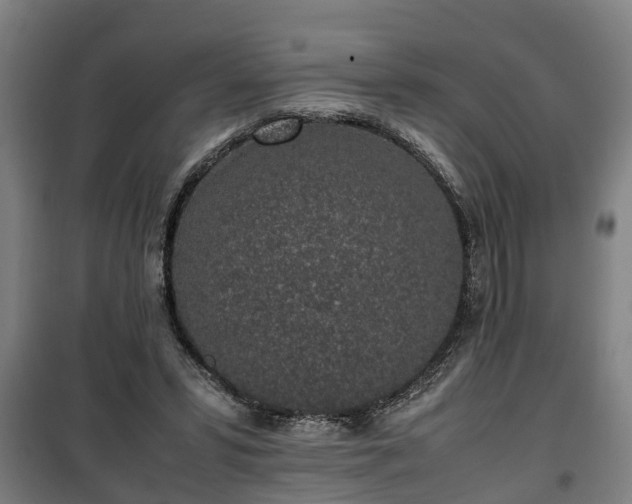 X0000100190399200806061303