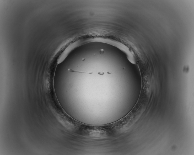 X0000100190400200806061303