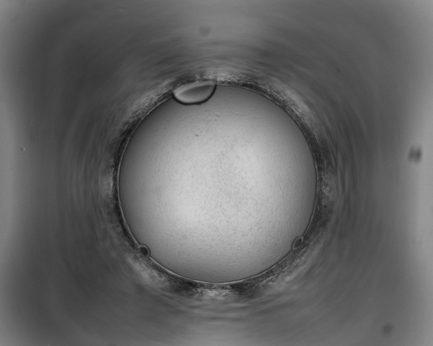 X0000100190401200806061303