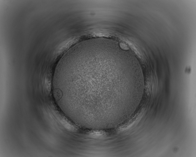 X0000100190402200806061303