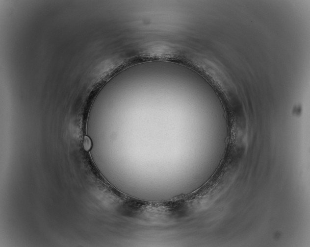 X0000100190403200806061303