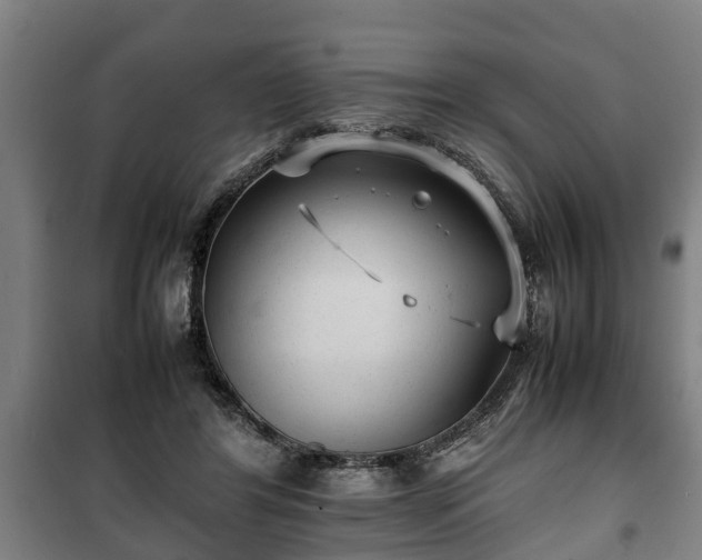 X0000100190404200806061303