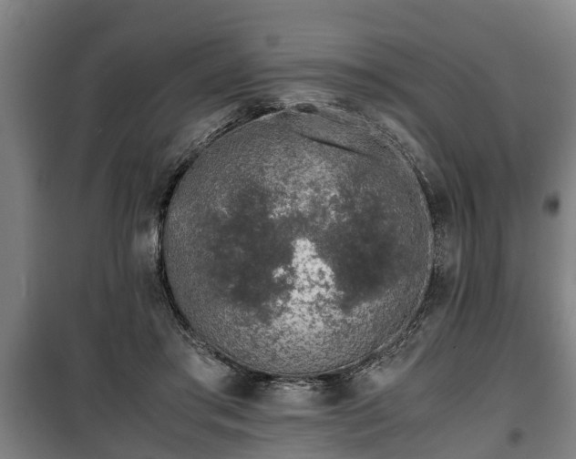 X0000100190405200806061303