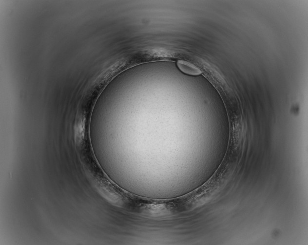 X0000100190406200806061303