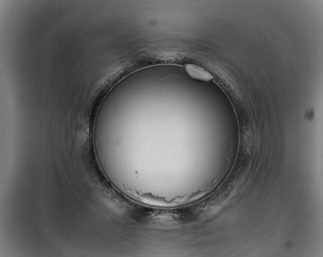 X0000100190407200806061303