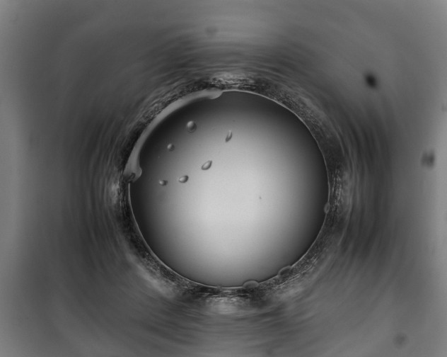 X0000100190408200806061303