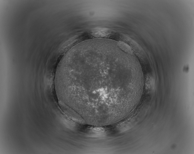 X0000100190409200806061303