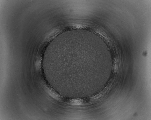 X0000100190410200806061303