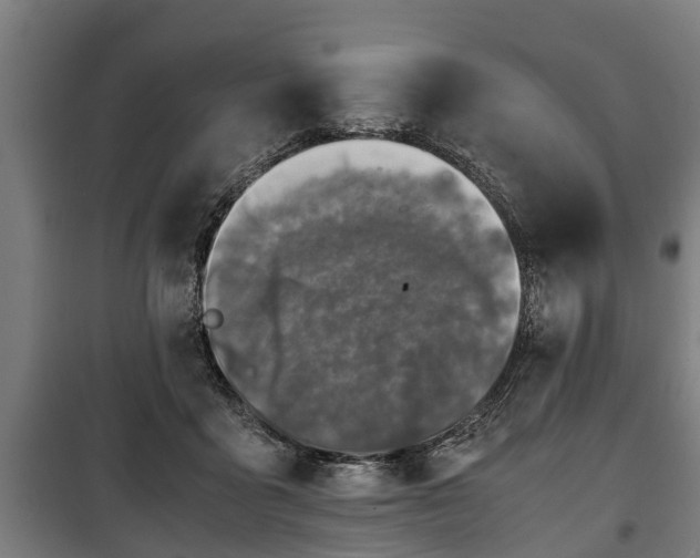 X0000100190411200806061303