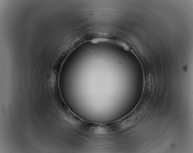 X0000100190412200806061303