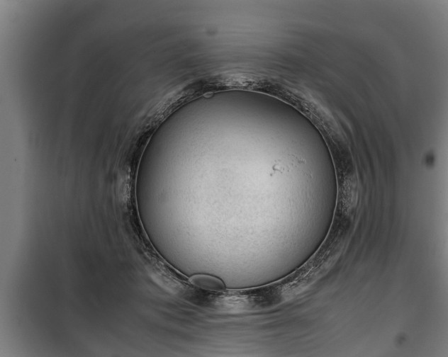 X0000100190413200806061303