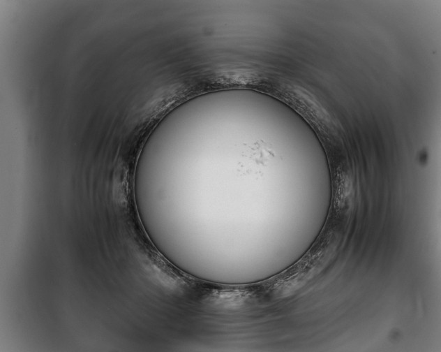 X0000100190414200806061303