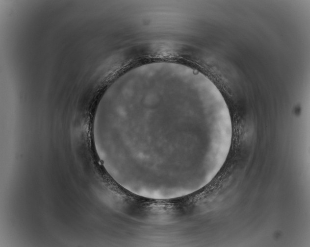 X0000100190415200806061303