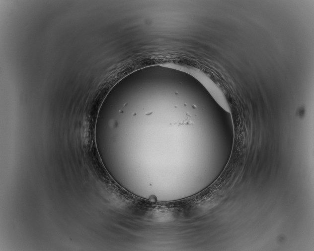 X0000100190416200806061303