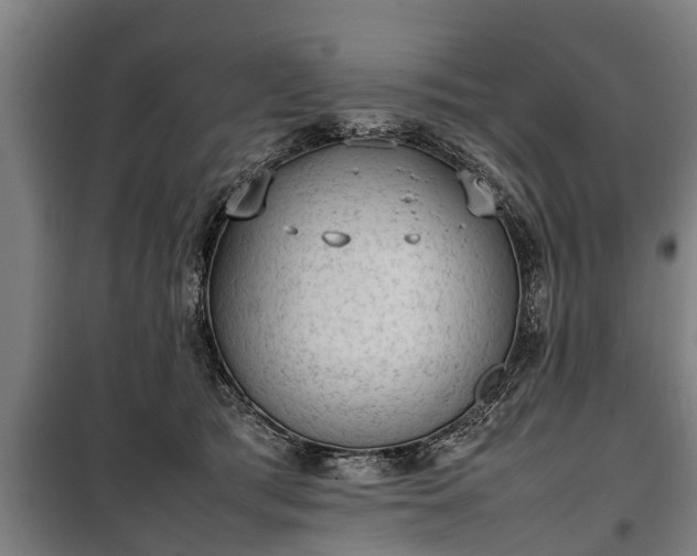 X0000100190417200806061303