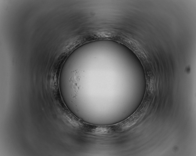 X0000100190418200806061303