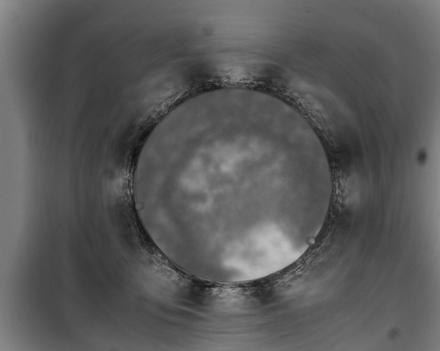 X0000100190419200806061303