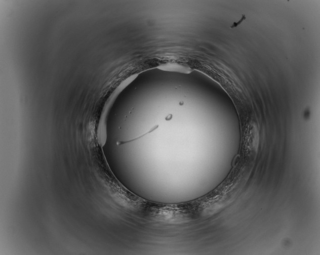 X0000100190420200806061303