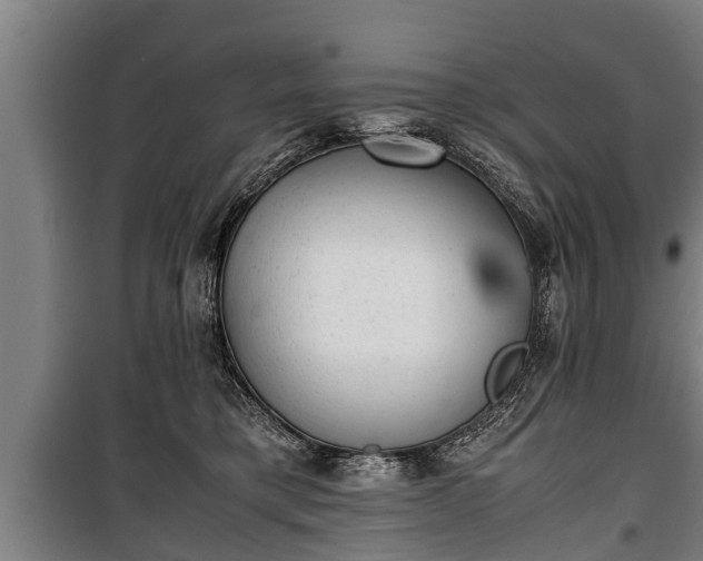 X0000100190421200806061303