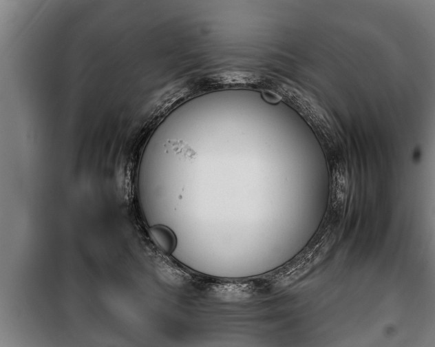 X0000100190422200806061303