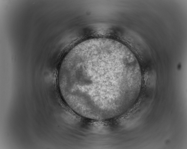 X0000100190423200806061303