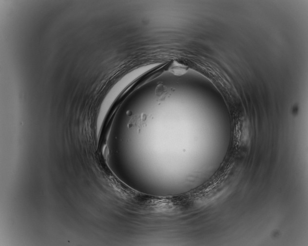 X0000100190424200806061303