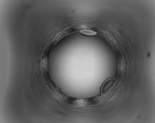 X0000100190425200806061303