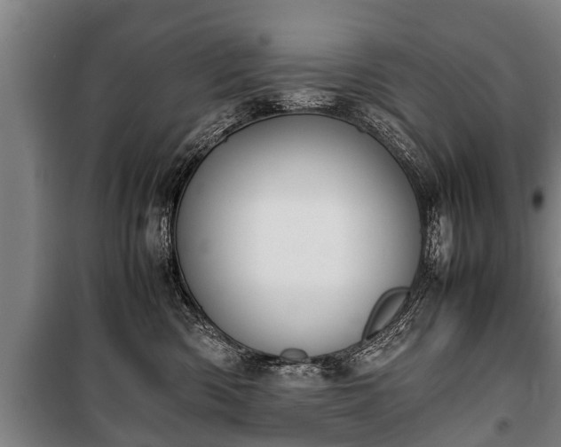 X0000100190426200806061303