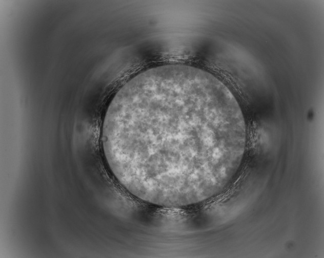 X0000100190427200806061303