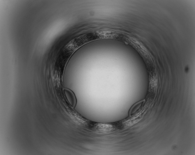 X0000100190429200806061303