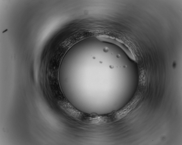 X0000100190430200806061303