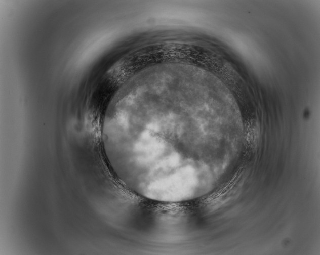 X0000100190431200806061303